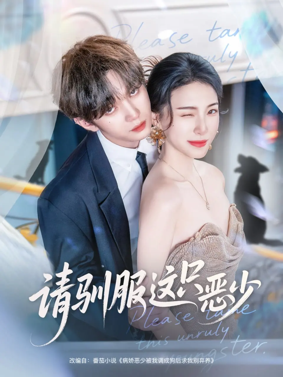 《请驯服这只恶少》：叛逆少年变形记，爱与救赎的青春物语！