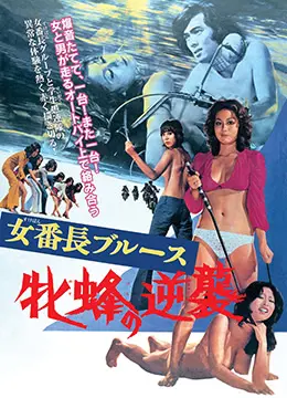 《女番长布鲁斯：雌蜂的逆袭》：热血少女的街头传说，用拳头捍卫姐妹情谊与尊严